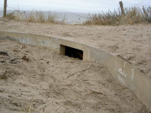 Bunker-Fl242-Standard-emplacement-for-medium-and-light-AA