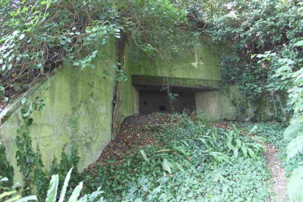 Bunker-515-Machine-gun-casemate-with-forward-apron