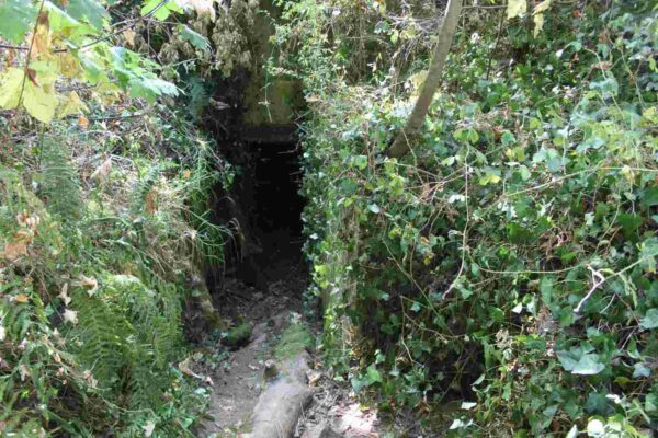 Bunker-515-Machine-gun-casemate-with-forward-apron