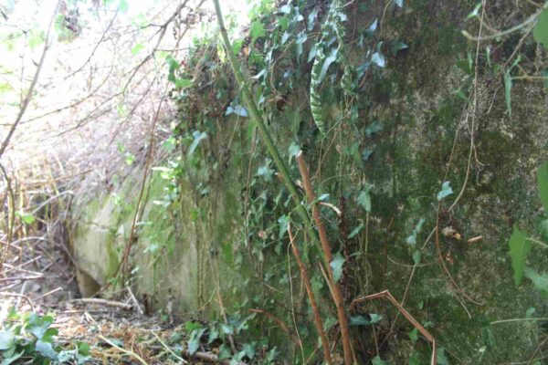 Bunker-601-Anti-tank-gun-bunker-with-roof-canopy