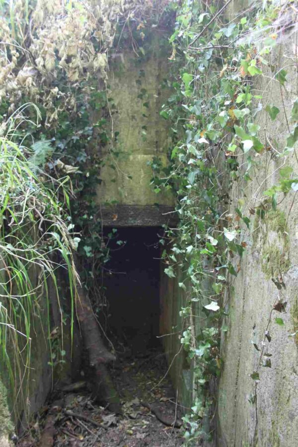 Bunker-515-Machine-gun-casemate-with-forward-apron