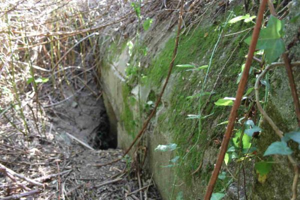 Bunker-601-Anti-tank-gun-bunker-with-roof-canopy