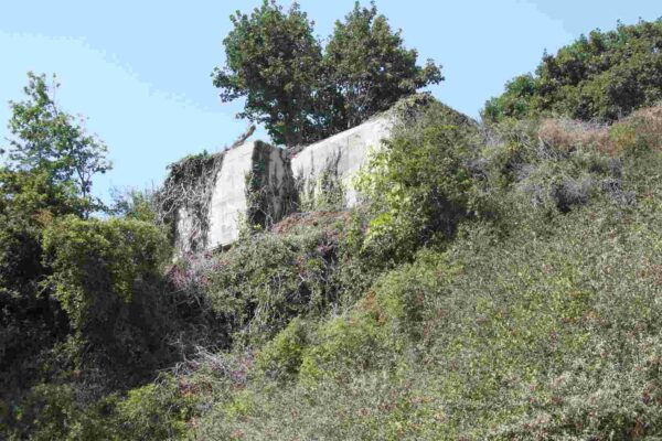 Bunker-515-Machine-gun-casemate-with-forward-apron