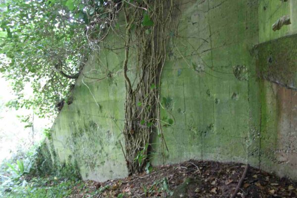 Bunker-515-Machine-gun-casemate-with-forward-apron