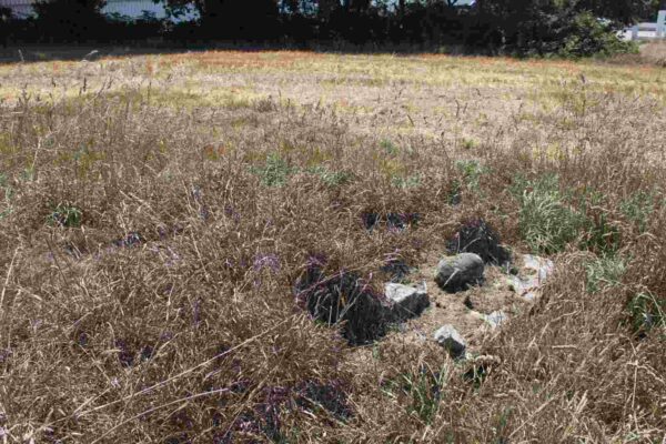 Ammunition-bunker